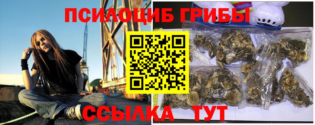 Махачкала  Псилоцибиновые грибы прущие грибы  Вход с VPN 