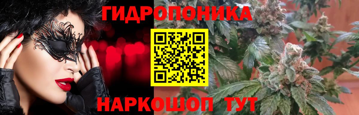 Бошки Шишки VHQ Махачкала